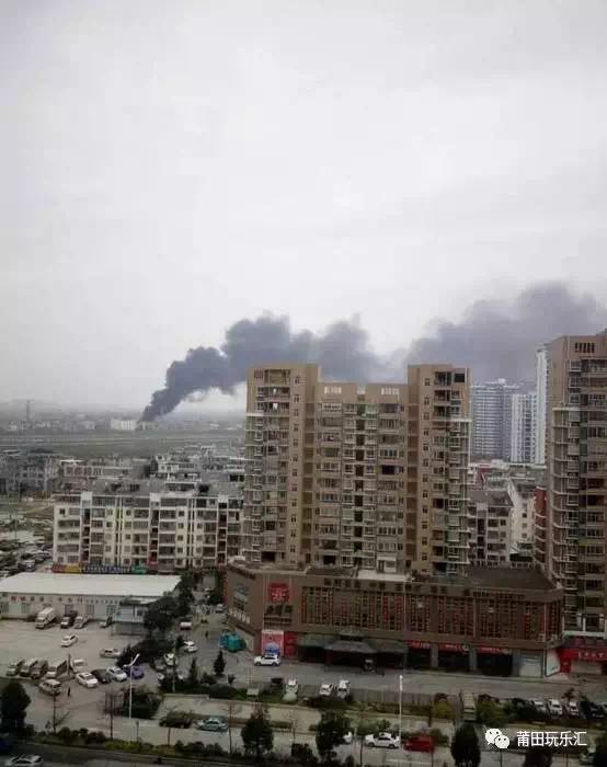 1489625782338617.jpg 4.jpg