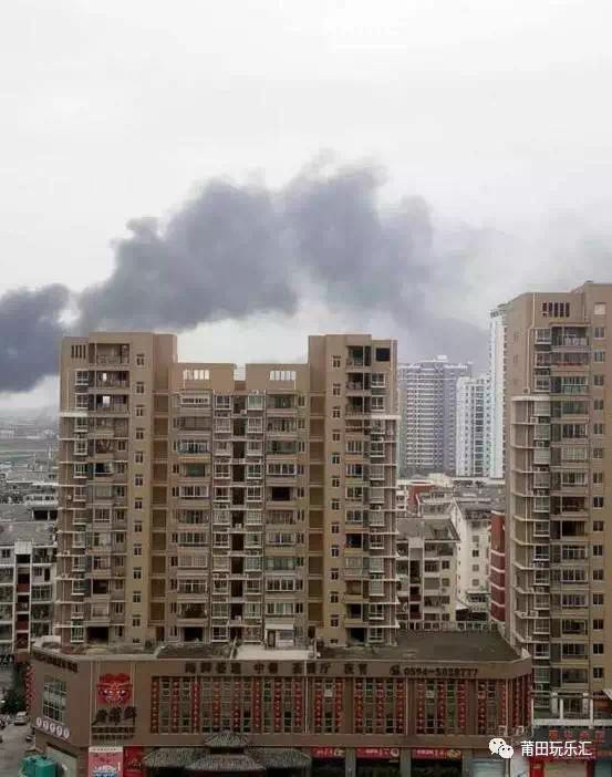 1489625794117093.jpg 6.jpg