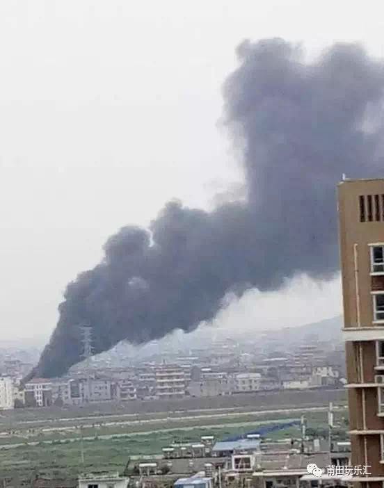 1489625797851039.jpg 8.jpg