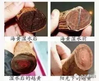 1489710842107149.jpg 10.jpg