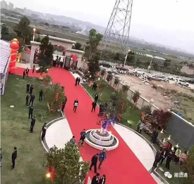 1489798106702708.jpg 12.jpg