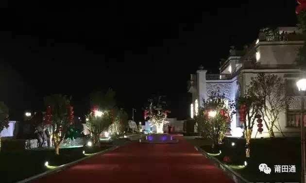 1489798197143597.jpg 26.jpg