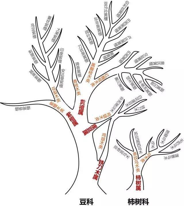 1490056392478083.jpg 16.jpg