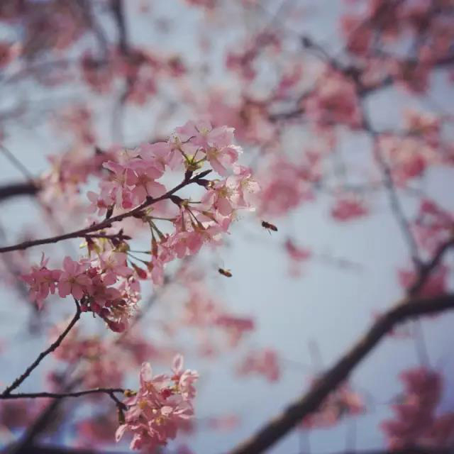 1491353663619743.jpg 6.jpg