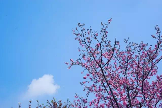 1491353671103069.jpg 7.jpg