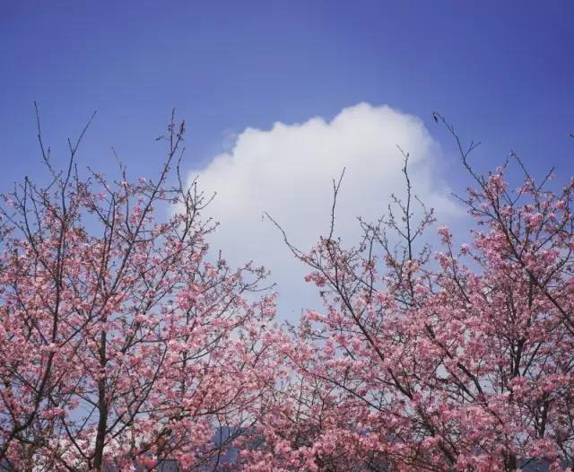 1491353681248465.jpg 8.jpg