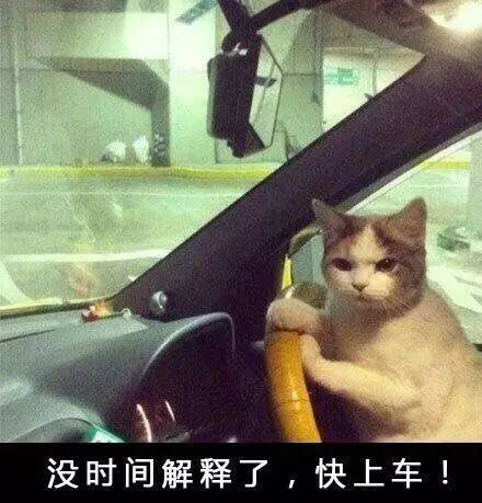 1492408640192352.jpg 7.jpg