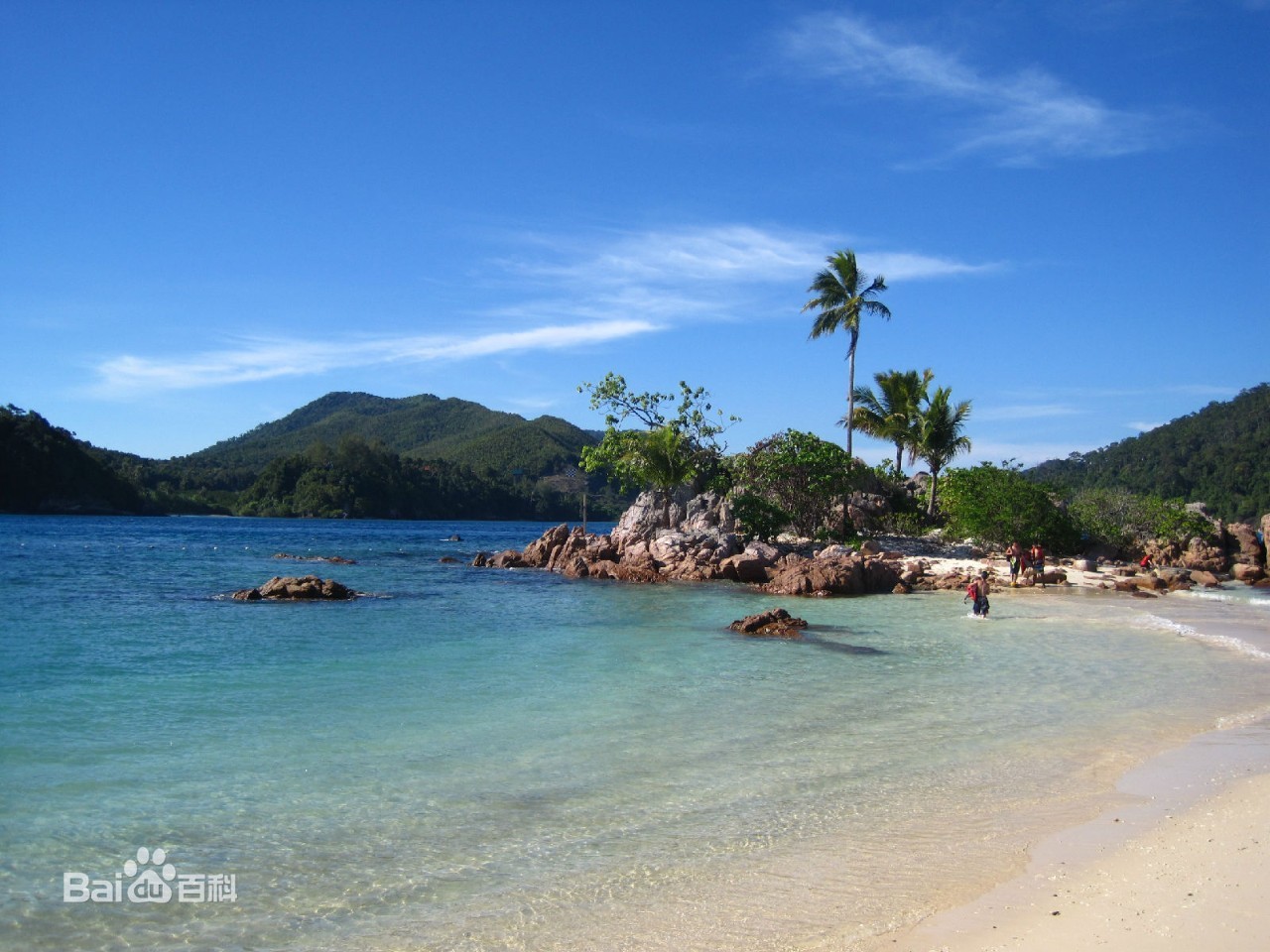 1492408689135946.jpg 15.jpg