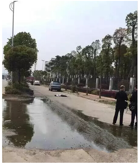 1494377986638032.jpg 2.jpg