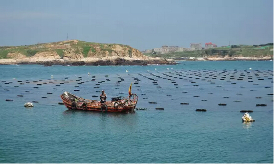 1495243156357981.jpg 6.jpg