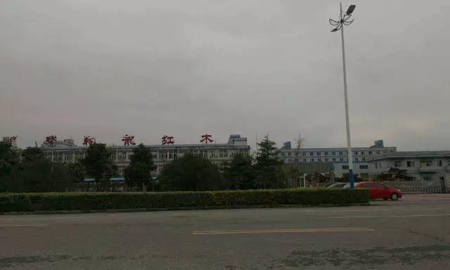 1495499173103969.jpg 17.jpg