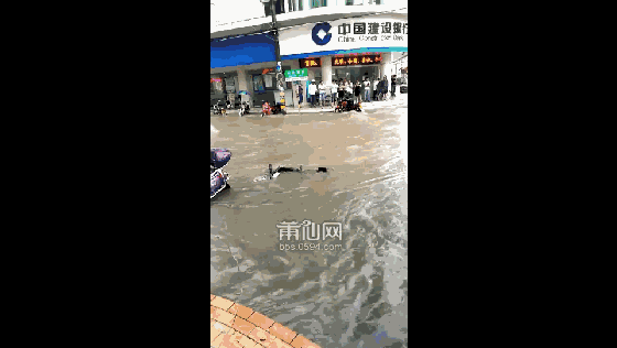 1495672882457384.gif 微信圖片_20170525083557.gif