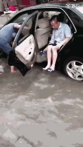 1495672897352989.gif 2.gif