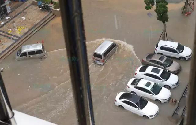 1495672944988440.jpg 9.jpg