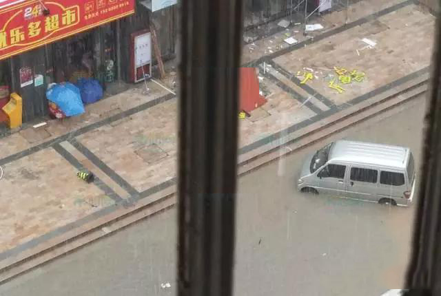 1495672949466894.jpg 10.jpg