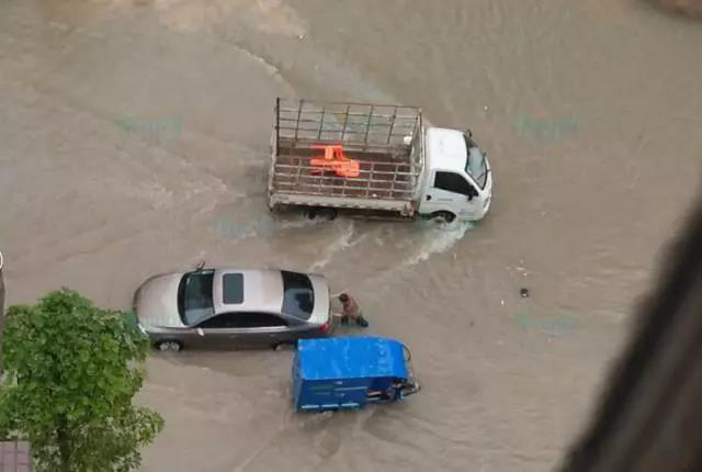 1495672953607178.jpg 11.jpg