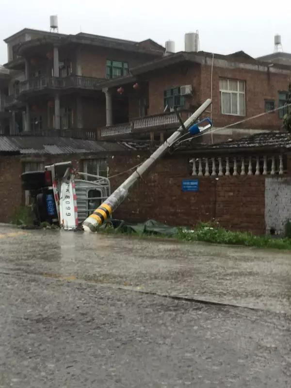 1495672969130950.jpg 13.jpg