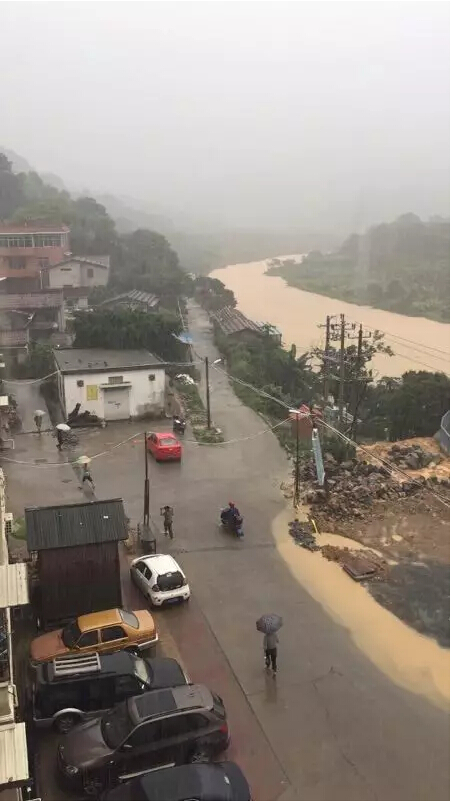 1495672977138755.jpg 15.jpg