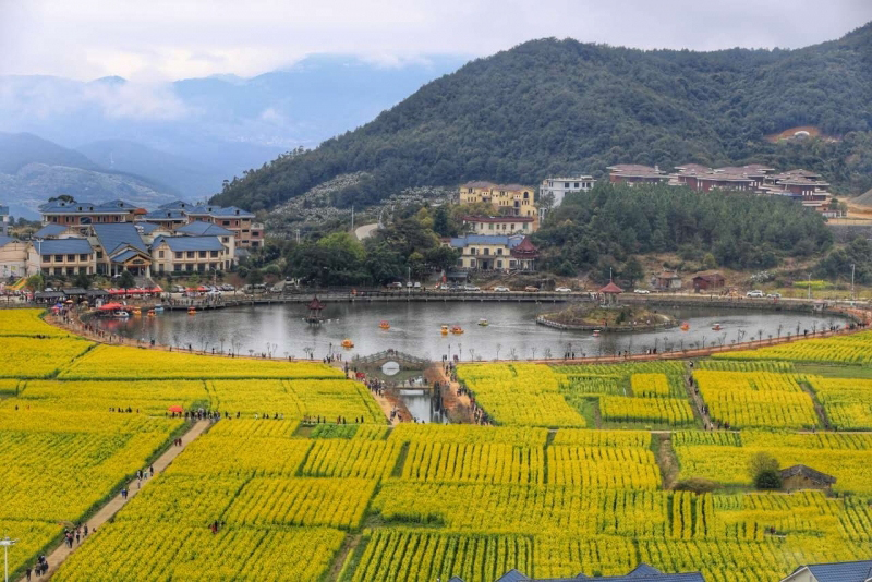 1495673938572451.jpg 10.jpg