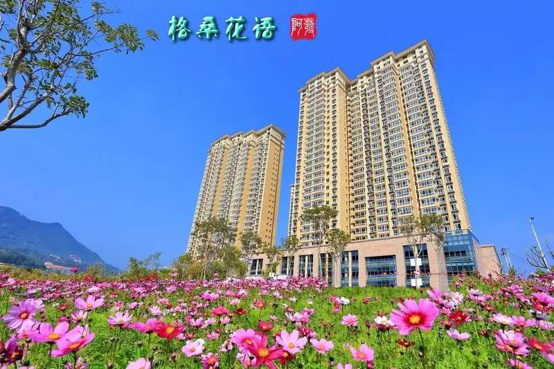 1495674057505322.jpg 22.jpg