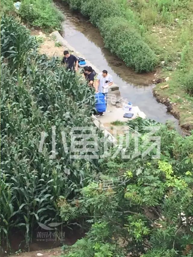 1496796566690487.jpg 1.jpg