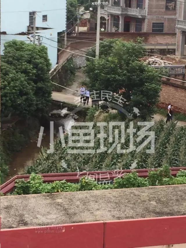 1496796570132038.jpg 2.jpg