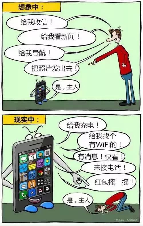 1497228988100005.jpg 11.jpg