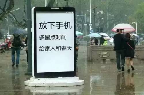 1497229005106933.jpg 14.jpg