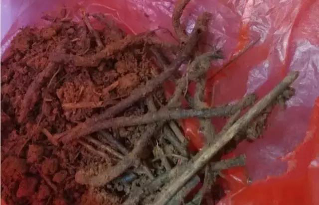 1498007430625553.jpg 17.jpg