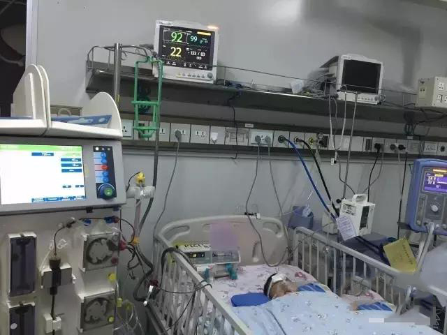 1498007435825478.jpg 18.jpg