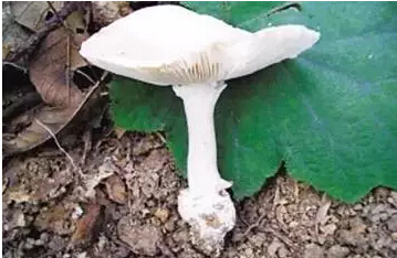 1498007455450585.jpg 23.jpg