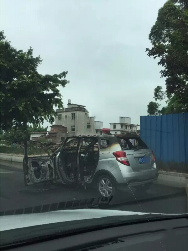 1498612124546073.jpg 3.jpg