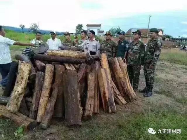 1499129283155990.jpg 1.jpg