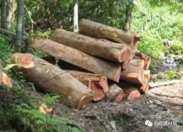 1499129291110045.jpg 3.jpg