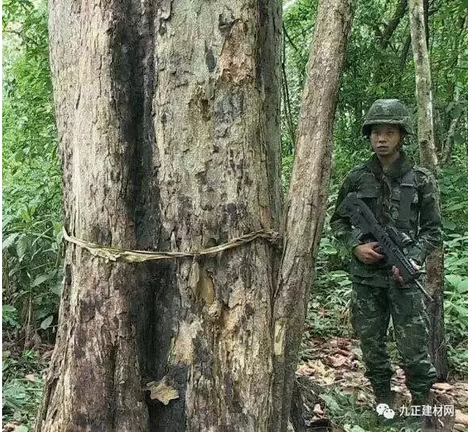 1499129303278458.jpg 6.jpg