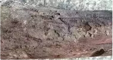 1499993282112016.jpg 6.jpg