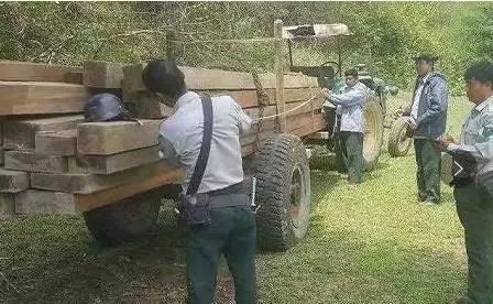 1500340111128299.jpg 7.jpg