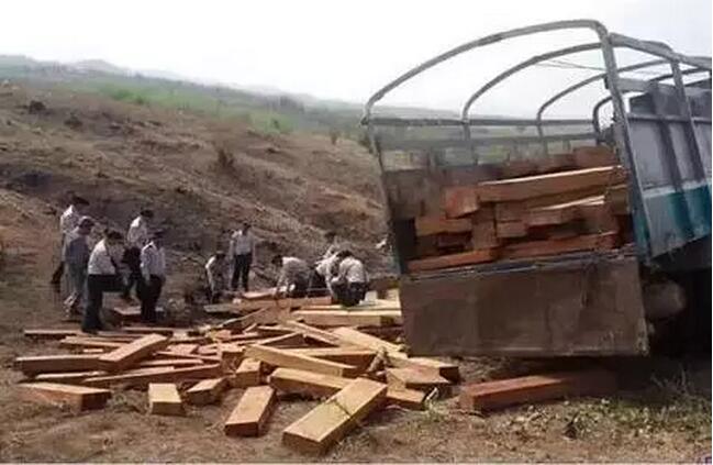 1500340117124813.jpg 9.jpg