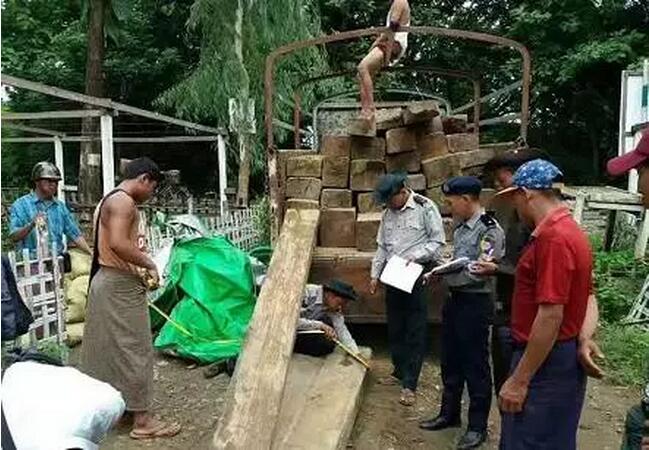 1500340143939512.jpg 11.jpg