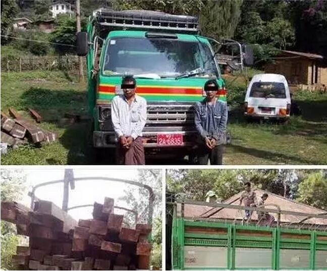 1500340157135976.jpg 12.jpg