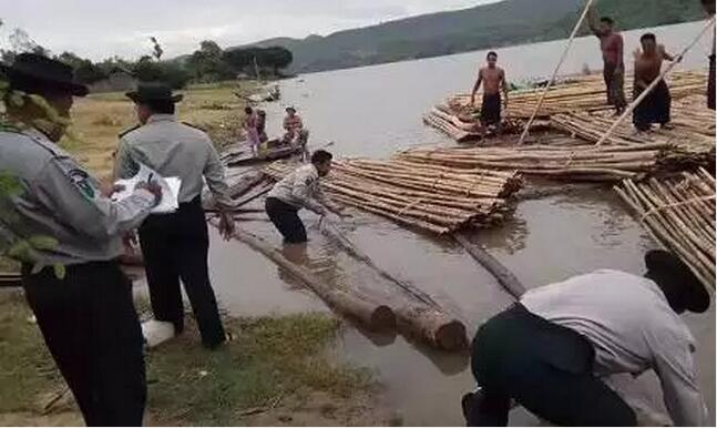 1500340205110716.jpg 14.jpg