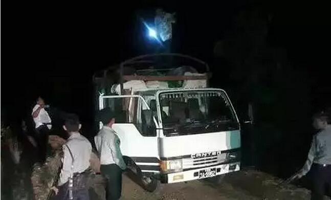 1500340261544825.jpg 19.jpg